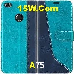 Promoções Sazonais A75